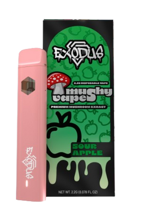 2.2G MUSHROOM VAPE DISPOSABLE