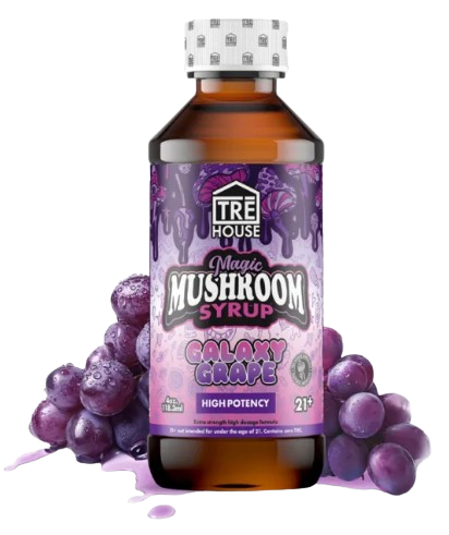 Tre house magic mushroom syrup